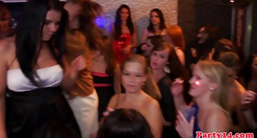 അപമാനിക്കപ്പെട്ട വെരുക പതിപ്പ്