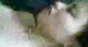 പ്രൊഫഷണൽ അശ്ലീല സ്റ്റൈൽ ക്ലബ് ഓർഗനൈസേഷൻ