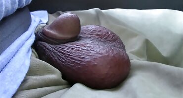 കാമുകൻ തൃപ്തിപ്പെടുത്തുന്നു കാമുകൻ കിടക്കയിൽ മുടി സമനിരപ്പുണ്ടാക്കുക