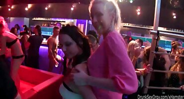 നാണംകെട്ട മിൽഫാസ്