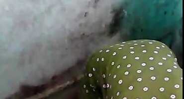 വളർന്ന യോനിയുടെ ഉടമ എല്ലാ ദ്വാരങ്ങളിലും മാറിമാറി കോഴിയെ വിടുന്നു